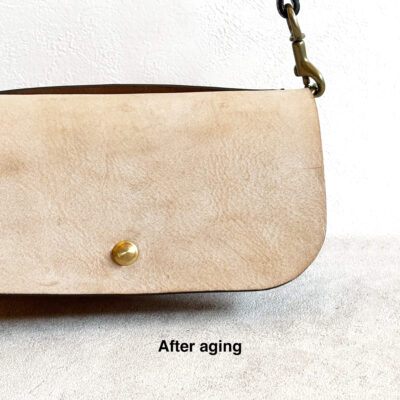 Shoulder bag with a quick-release buckle